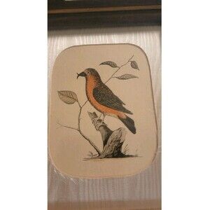 Le Bec-croise d Allemagne Crossbill, Martinet, Francois Nicolas ATQ Copperplate